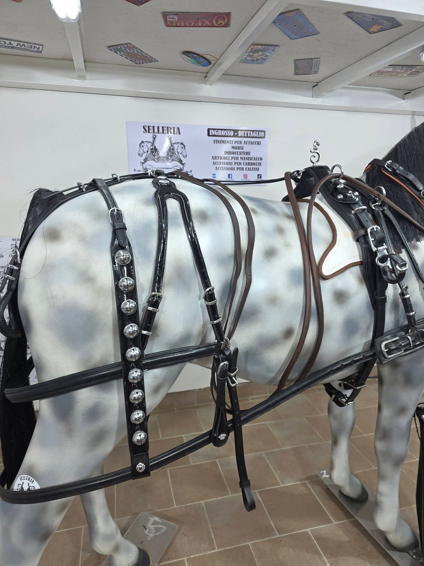 FINIMENTO SINGOLO PARIGLIA QUADRIGA TANDEM