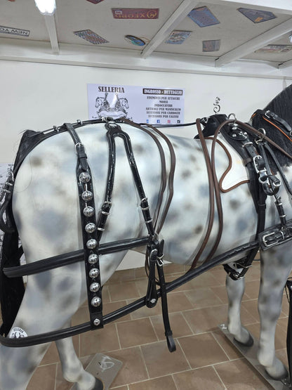 FINIMENTO SINGOLO PARIGLIA QUADRIGA TANDEM