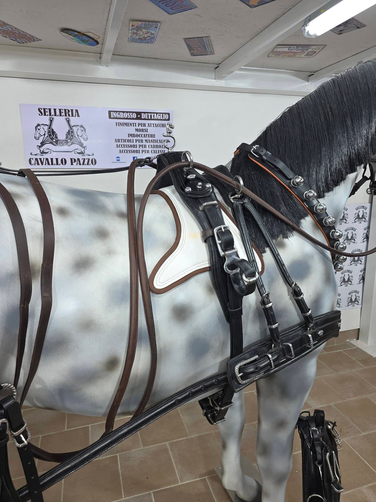 FINIMENTO COMPLETO SINGOLO IN CUOIO LUCIDO