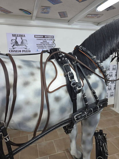 FINIMENTO COMPLETO SINGOLO IN CUOIO LUCIDO