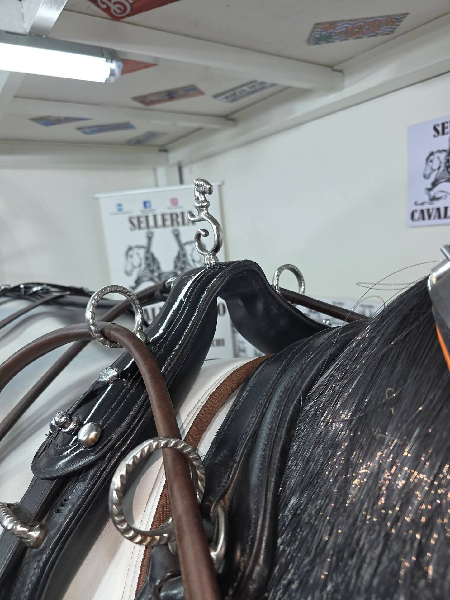 FINIMENTO COMPLETO SINGOLO IN CUOIO LUCIDO