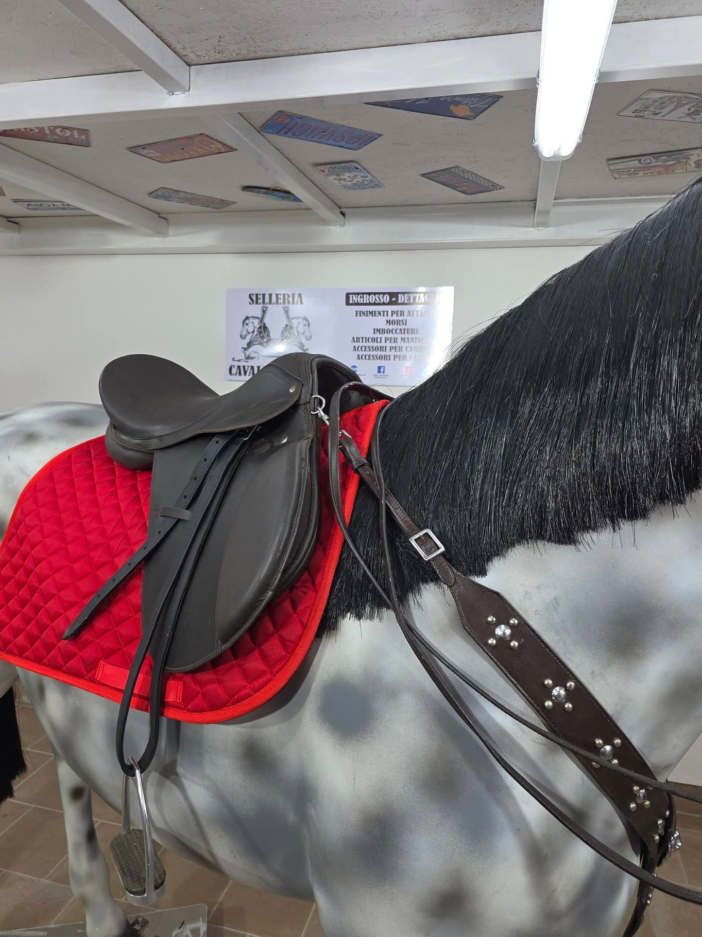 Sella inglese marrone completa o senza accessori