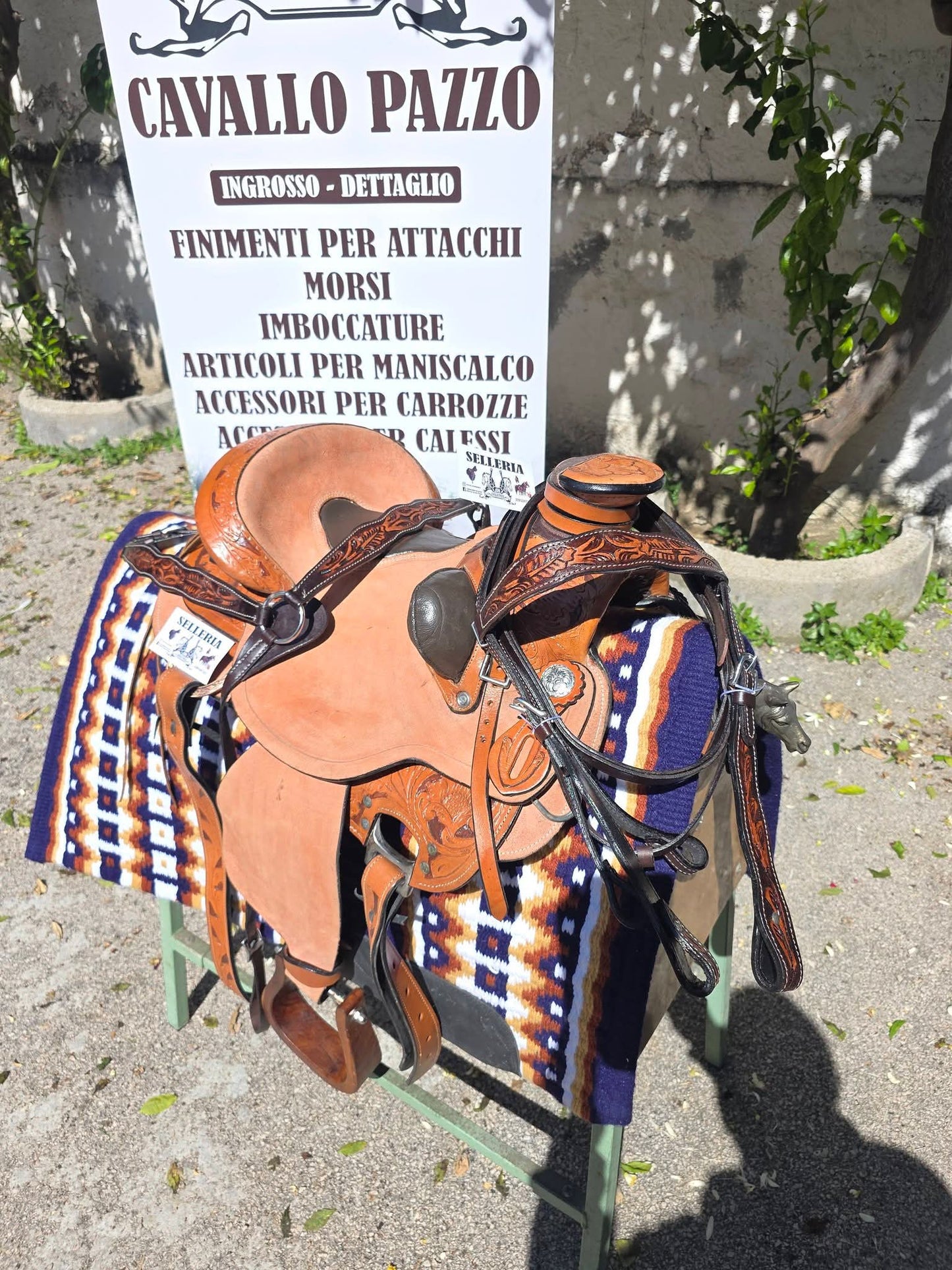 Sella western ANATOMIC