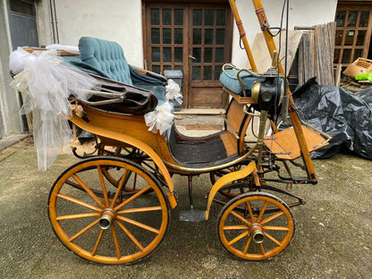 Carrozzella tutt'originale
