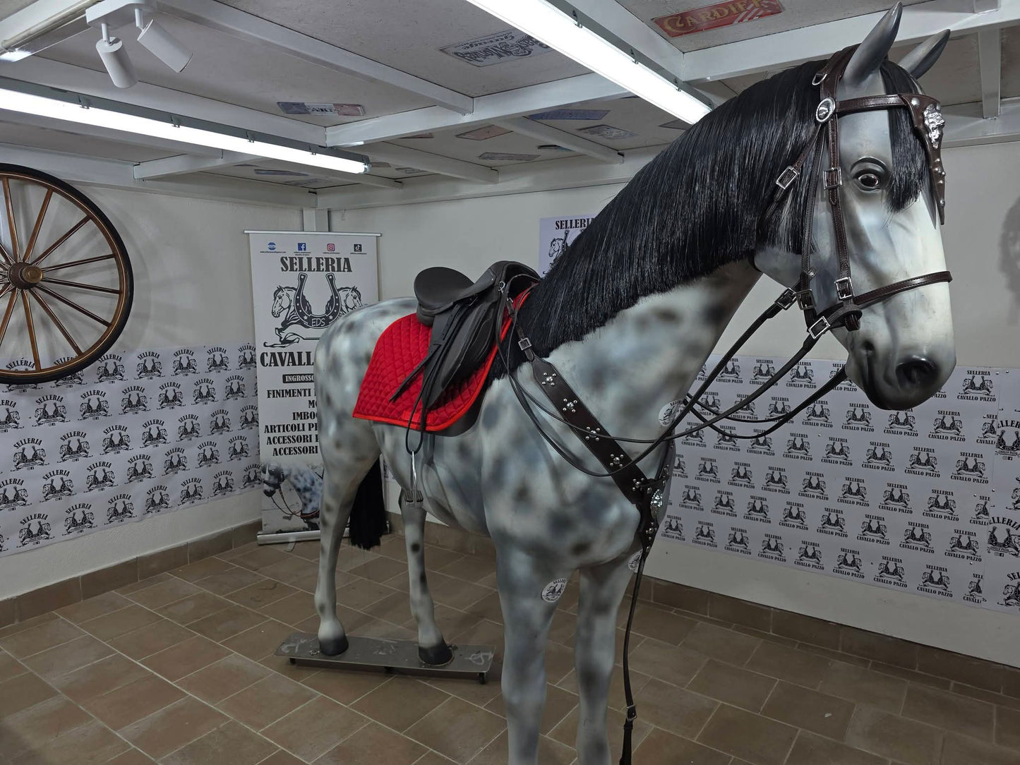 Sella inglese marrone completa o senza accessori