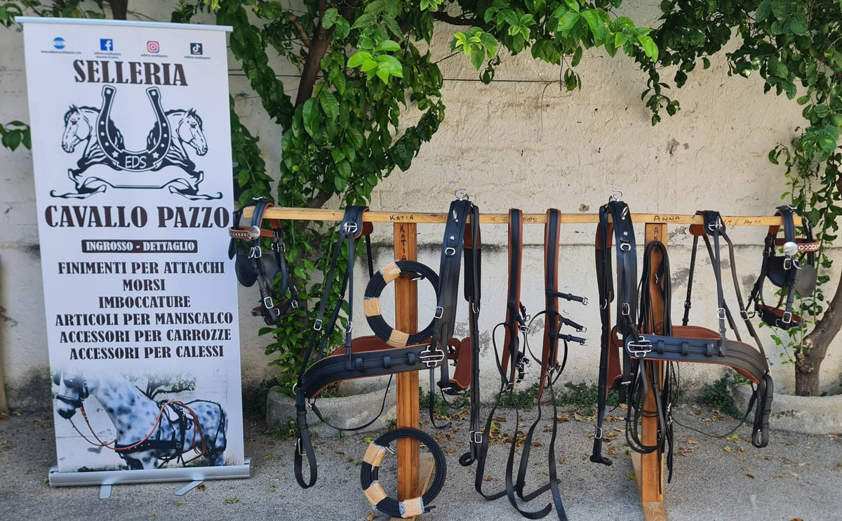 FINIMENTO PARIGLIA E QUADRIGA IN BICOLORE