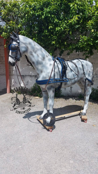 FINIMENTO COMPLETO BIOTHANE SUPERIORE