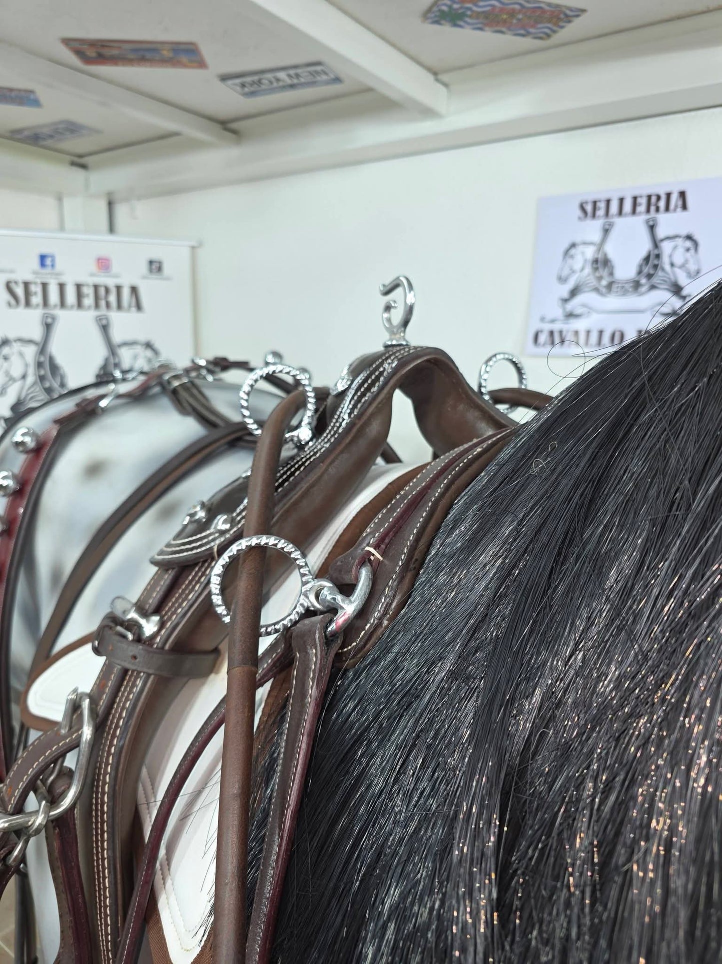 FINIMENTO COMPLETO SINGOLO IN MARRONE LUCIDO