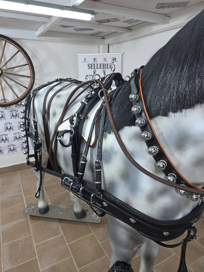 FINIMENTO COMPLETO SINGOLO IN CUOIO LUCIDO