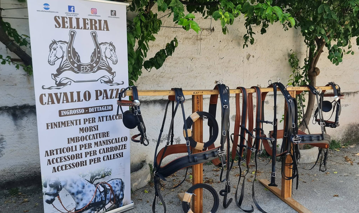 FINIMENTO PARIGLIA E QUADRIGA IN BICOLORE