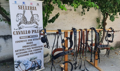 FINIMENTO PARIGLIA E QUADRIGA IN BICOLORE