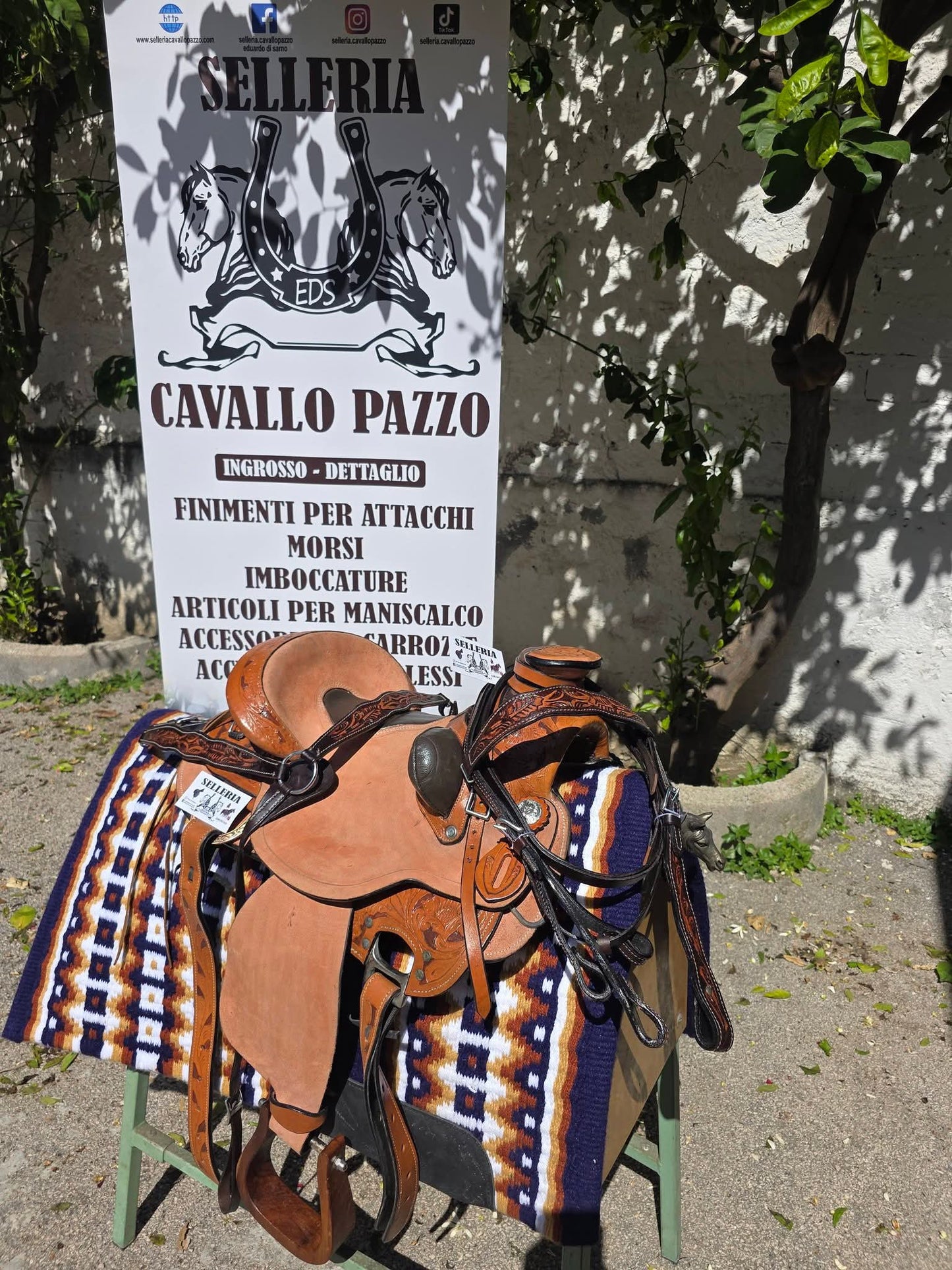 Sella western ANATOMIC