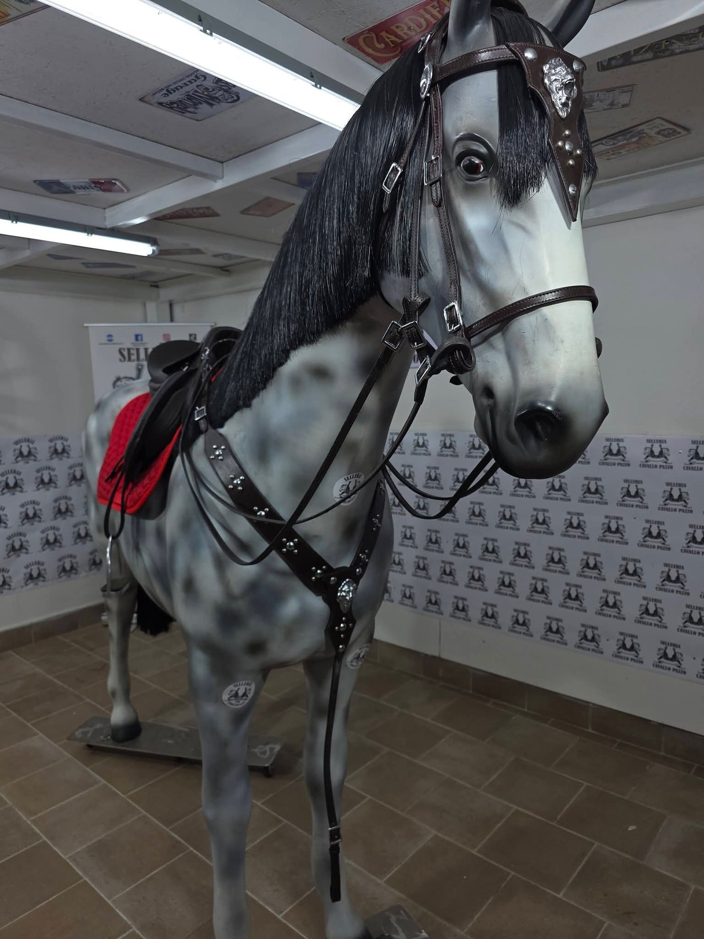 Sella inglese marrone completa o senza accessori