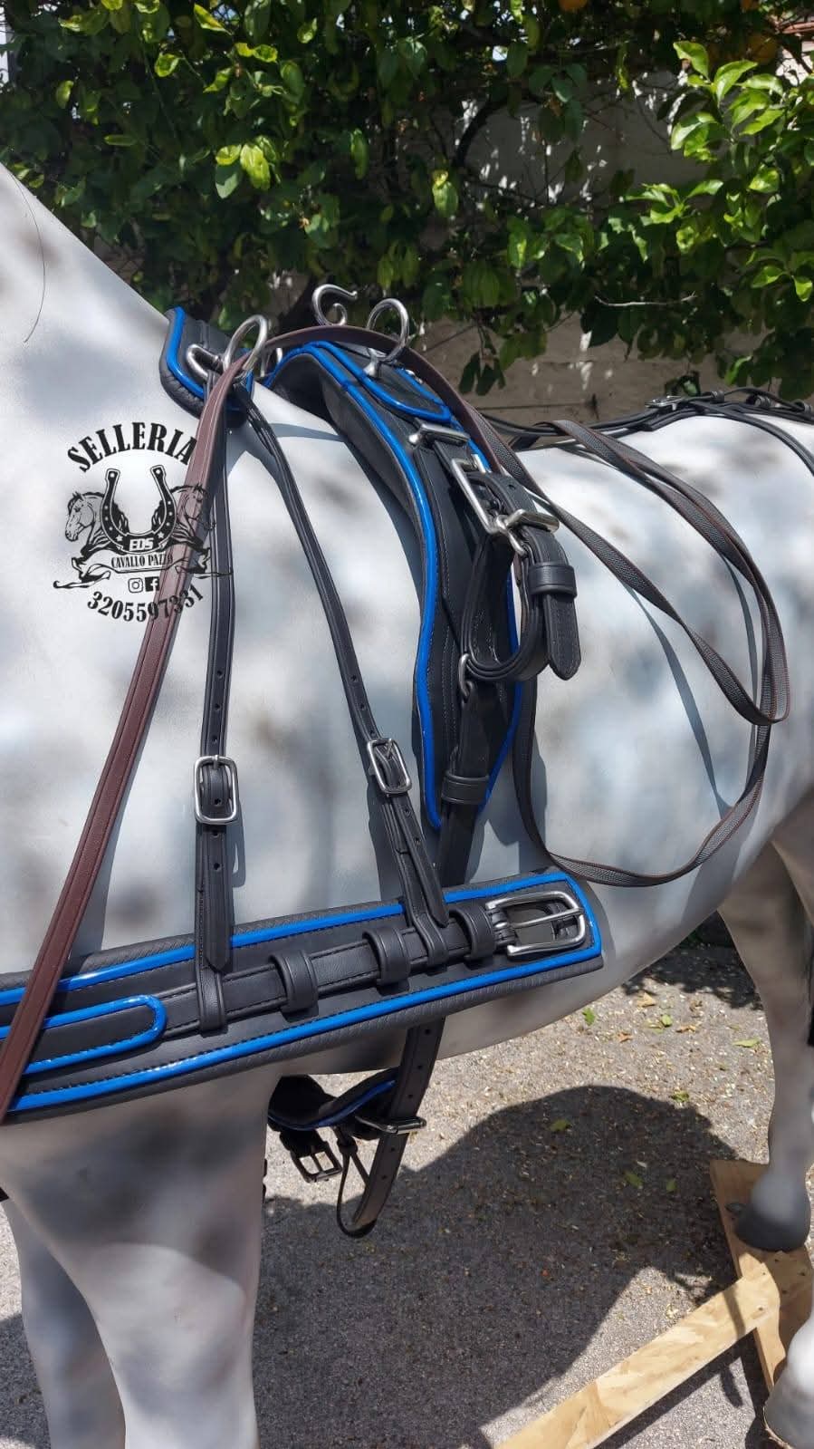 FINIMENTO COMPLETO BIOTHANE SUPERIORE