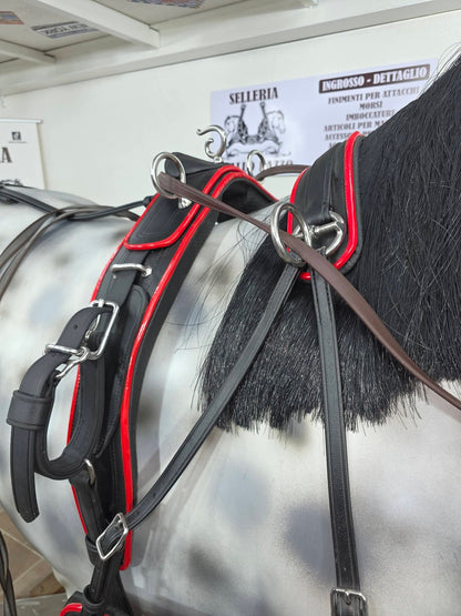 FINIMENTO COMPLETO BIOTHANE SUPERIORE