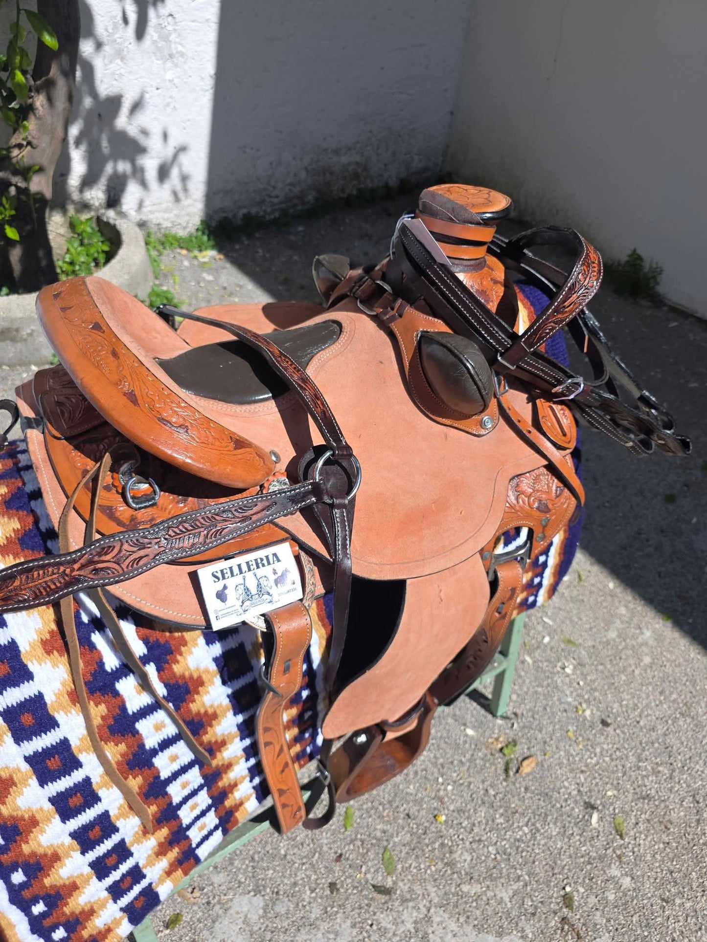 Sella western ANATOMIC