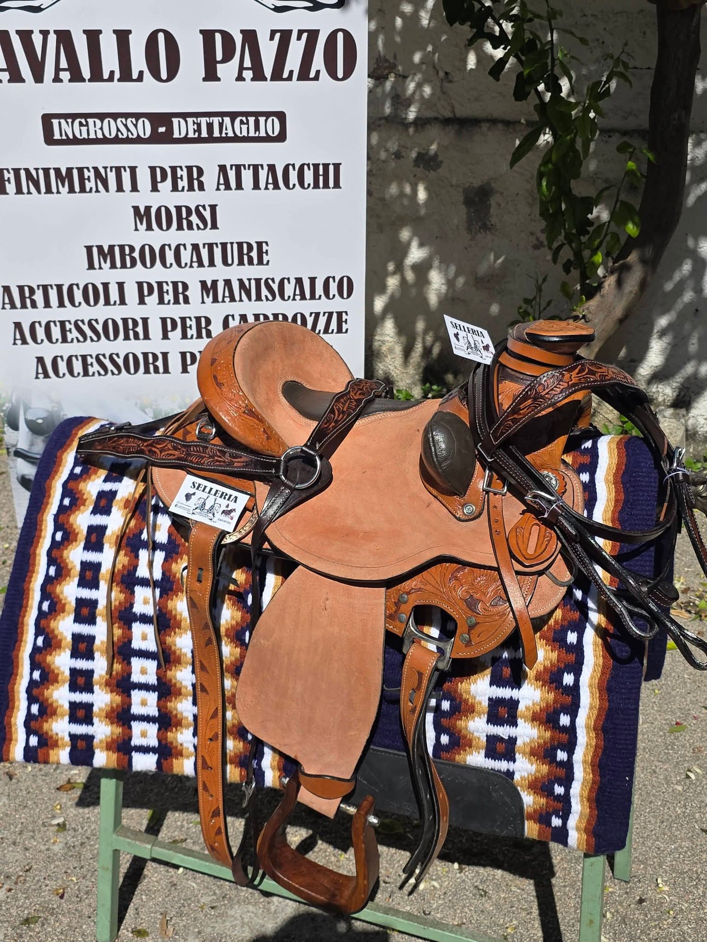 Sella western ANATOMIC