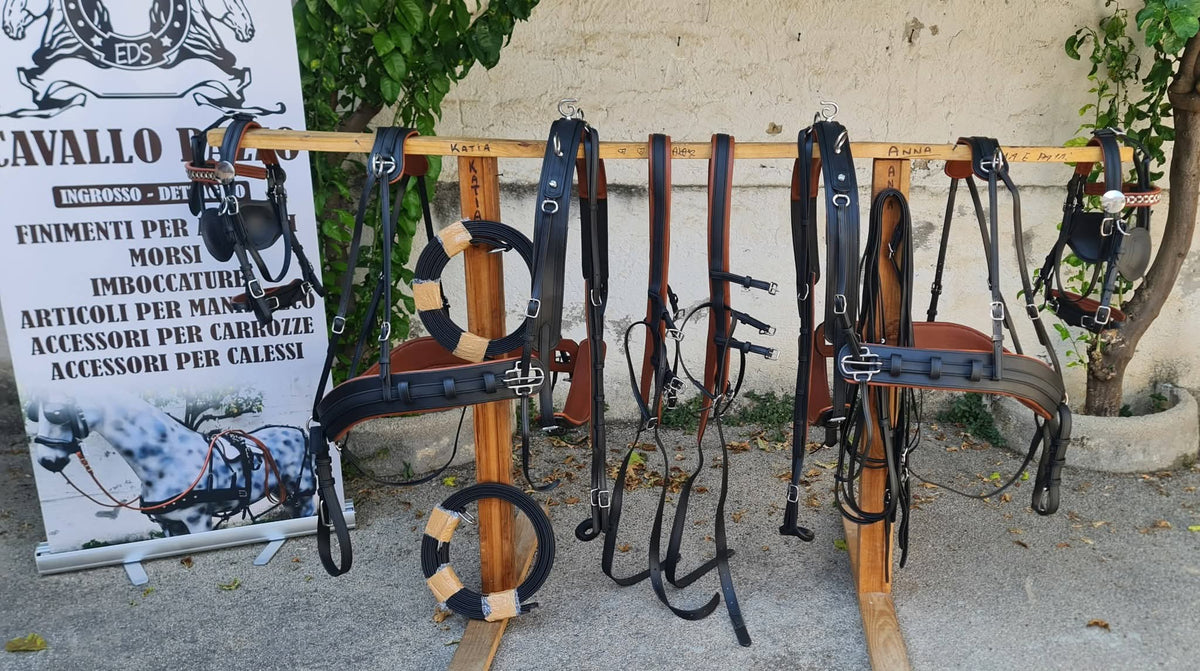 FINIMENTO PARIGLIA E QUADRIGA IN BICOLORE