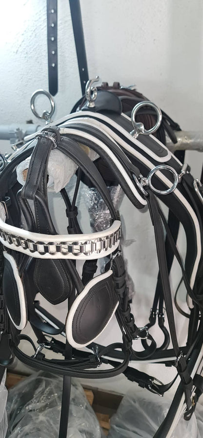 FINIMENTO COMPLETO BIOTHANE SUPERIORE