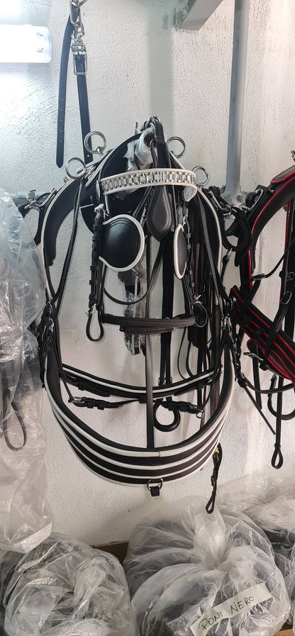 FINIMENTO COMPLETO BIOTHANE SUPERIORE