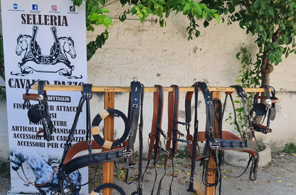 FINIMENTO PARIGLIA E QUADRIGA IN BICOLORE