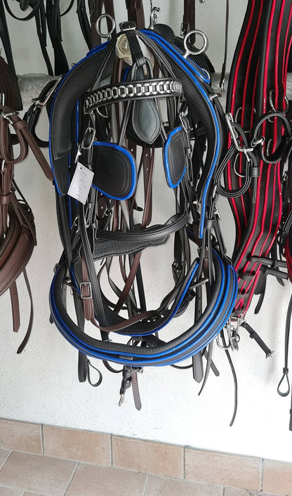 FINIMENTO COMPLETO BIOTHANE SUPERIORE