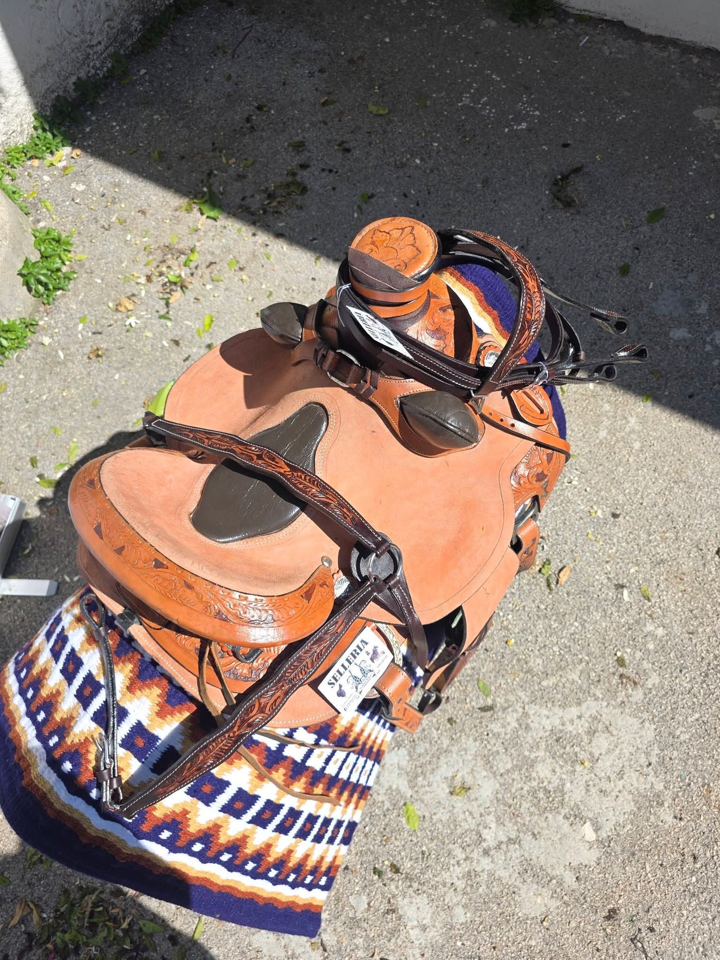 Sella western ANATOMIC