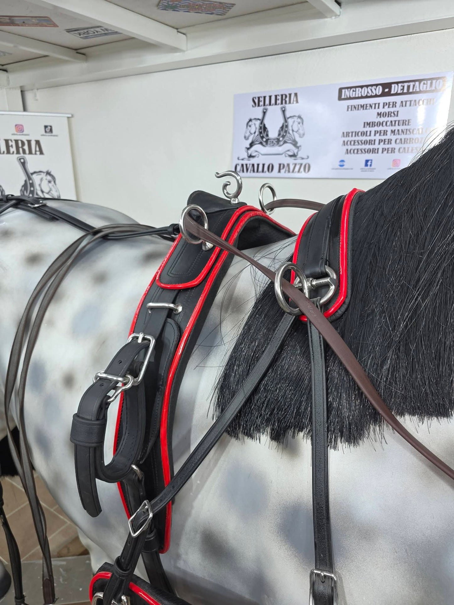 FINIMENTO COMPLETO BIOTHANE SUPERIORE